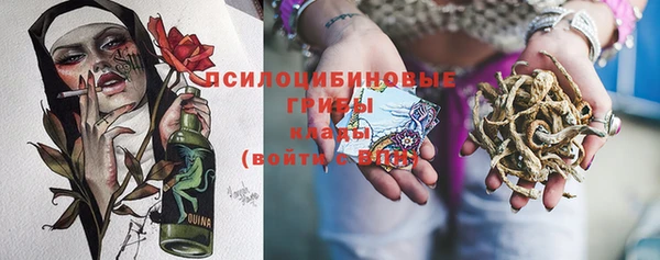 а пвп мука Корсаков