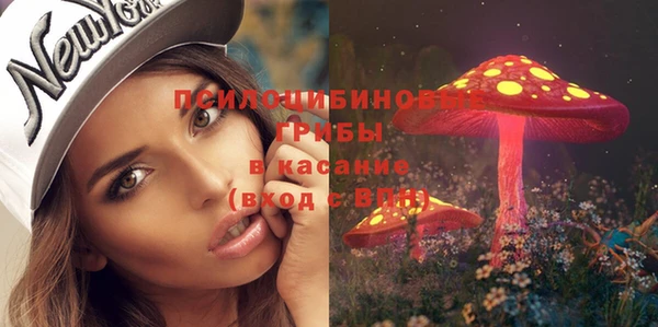 МДМА Козельск